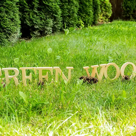 Wood Airport Warschau